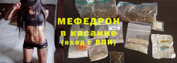 хмурый Аркадак