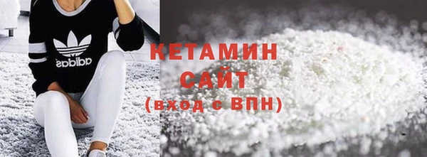 хмурый Аркадак