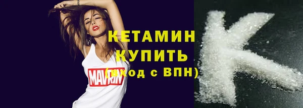 хмурый Аркадак