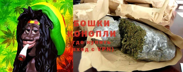 хмурый Аркадак