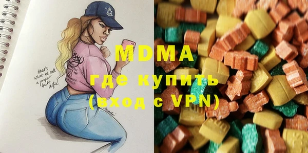 хмурый Аркадак