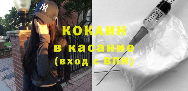 хмурый Аркадак