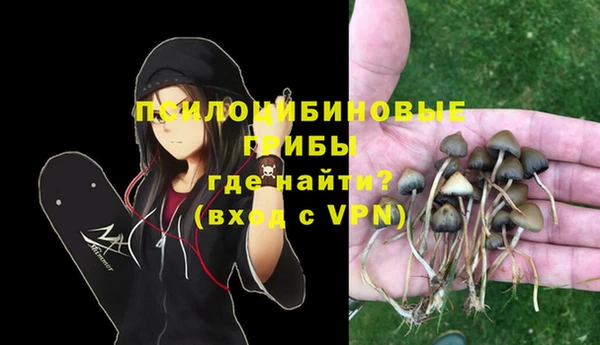 хмурый Аркадак