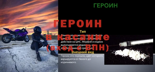 хмурый Аркадак