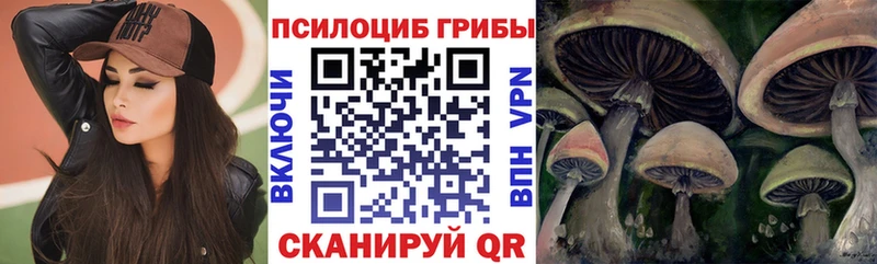 хочу наркоту  Мамоново  Галлюциногенные грибы Psilocybine cubensis 